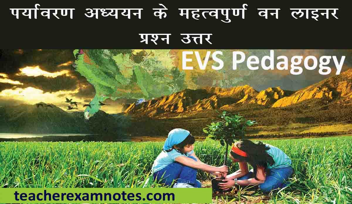 evs-important-question-ctet-one-liner
