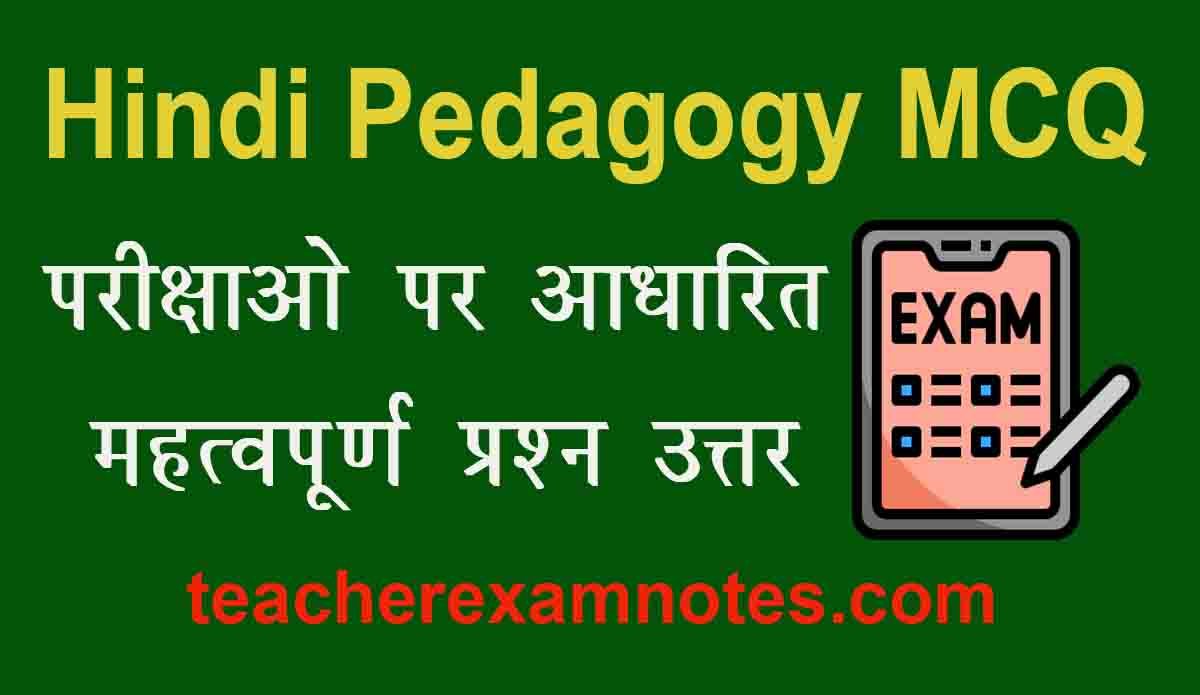 CTET Hindi Language Previous Year MCQ