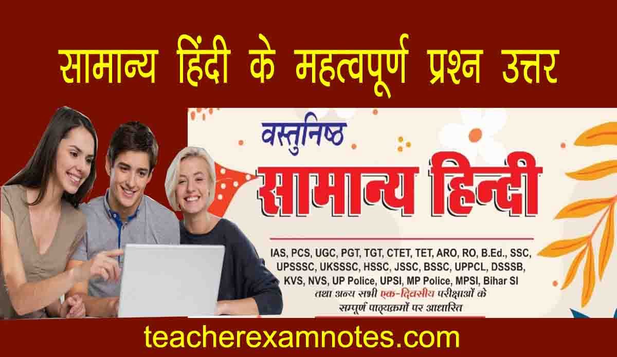 Objective Questions In Hindi Grammar