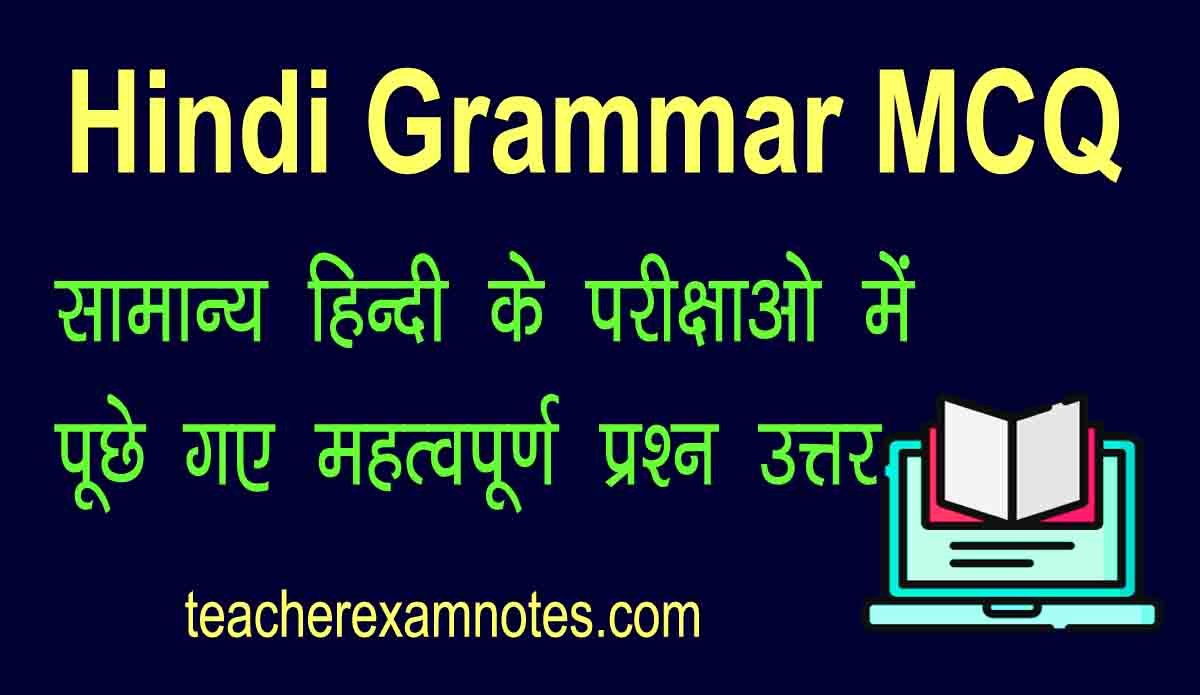 hindi vyakaran mcq